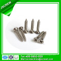 Especial personalizado aço inoxidável Flat Head Self Tapping Screw